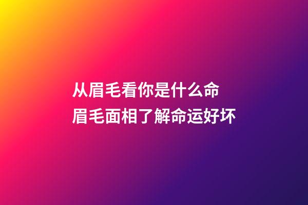 从眉毛看你是什么命 眉毛面相了解命运好坏